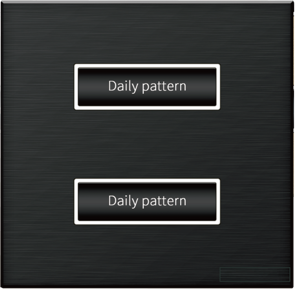 EWIG 2-Button