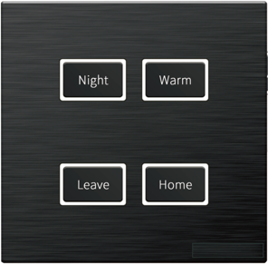 EWIG 4-Button